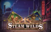 Steam Wilds Logo