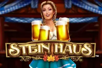 Stein Haus Logo