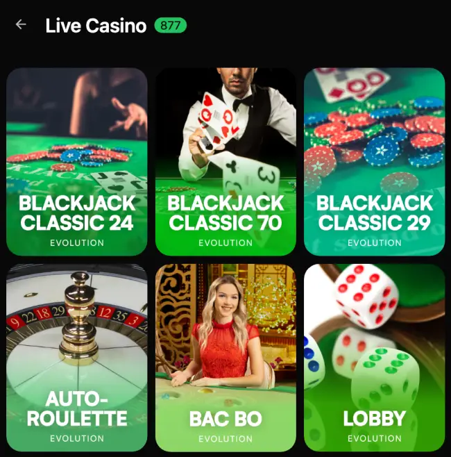Wolf Casino Test