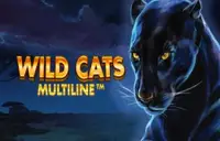 Wild Cats Multiline Logo