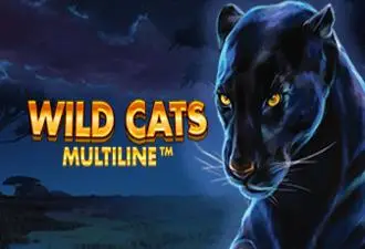 Wild Cats Multiline Logo