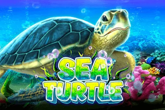 Sea Turtle Logo