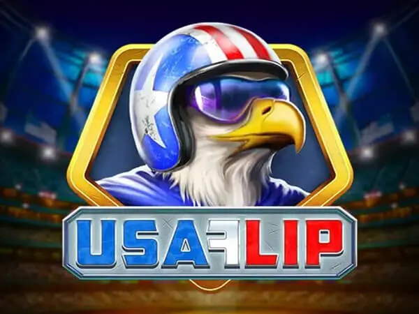 USA Flip Logo