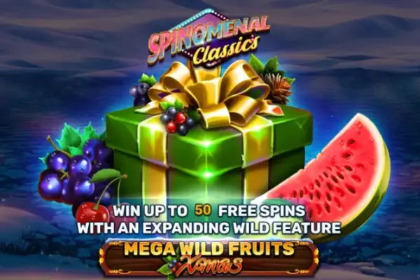 Mega Wild Fruits - Xmas Logo