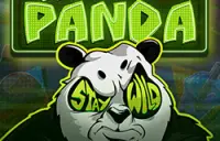 Eye of the Panda Logo