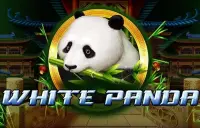 Full Moon: White Panda Logo