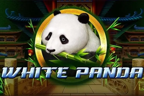 Full Moon: White Panda Logo