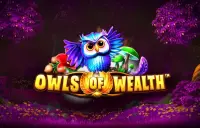 Owls of Wealth Logo