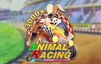 Animal Racing Logo