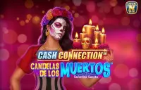 Cash Connection Candelas de los Muertos Senorita Suerte Logo