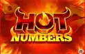 Hot Numbers Logo
