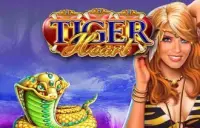 Tiger Heart Logo