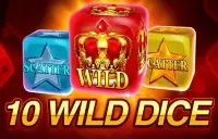 10 Wild Dice Logo