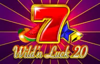 Wild'n Luck 20 Logo