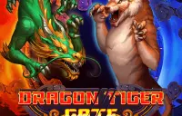 Dragon Tiger Gate Logo