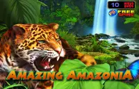 Amazing Amazonia Logo