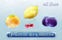 Fruits On Ice Collection 40 Lines Logo