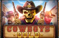 Cowboys Gold Logo