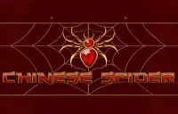 Chinese Spider Logo