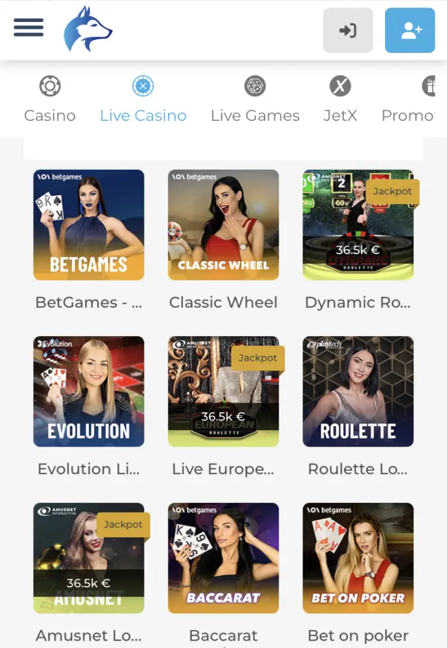 Wolfy Casino Test
