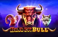 Black Bull Logo