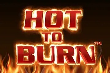 Hot to Burn Logo