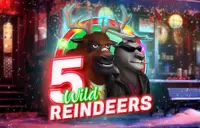 5 Wild Reindeers Logo