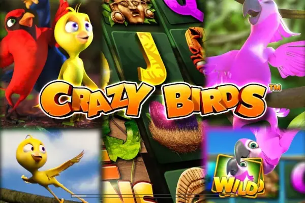 Crazy Birds Logo