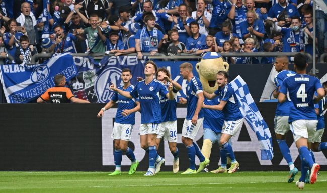 FC Schalke 04, Deutsche Bundesliga