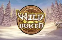 Wild North Logo