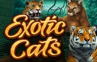Exotic Cats Logo
