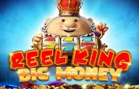 Reel King Big Money Logo