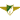 Moreirense FC Logo