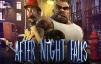After Night Falls Logo