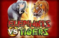 Elephants vs Tigers Logo