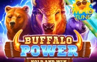 Buffalo Power: Hold and Win Logo