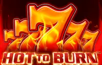 Hot to Burn Logo