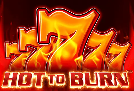 Hot to Burn Logo