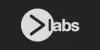 PlayLabs Logo