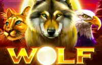 Wolf Spins 243 Logo