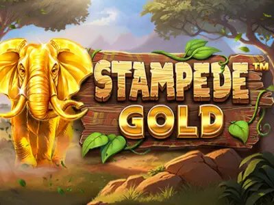 Stampede Gold Logo
