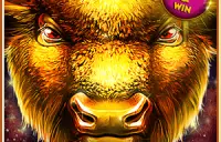 1 Reel Buffalo Logo